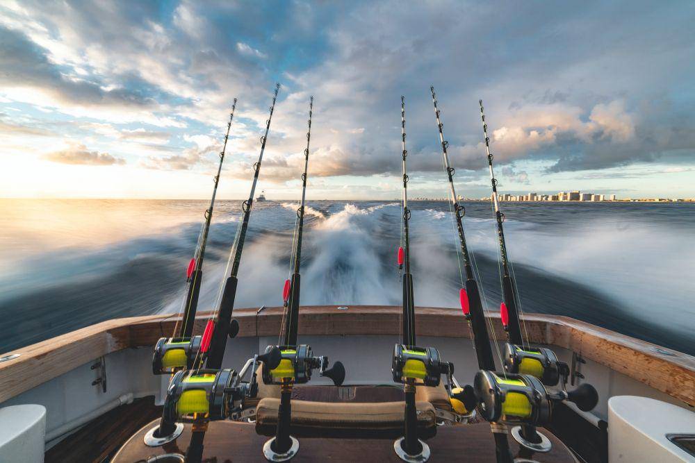 ilustrasi memancing di laut (unsplash.com/stephen momot)