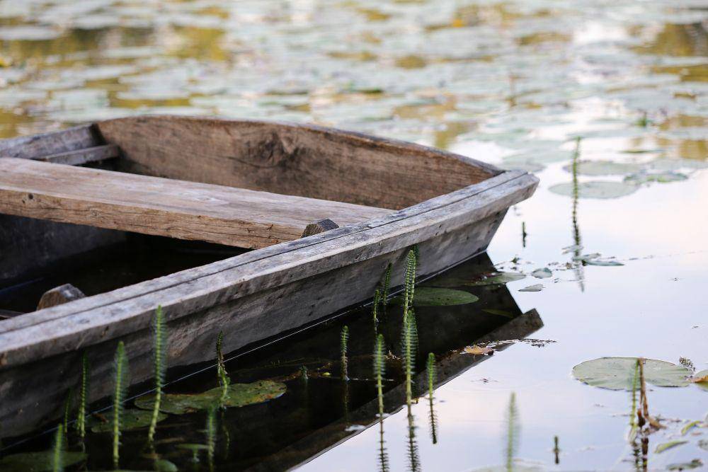 ilustrasi perahu papan (pixabay.com/Goran Horvat)