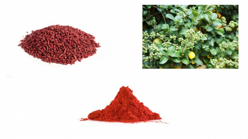 Bahan alami Nutrafor Chol (Dok. Nutrafor)