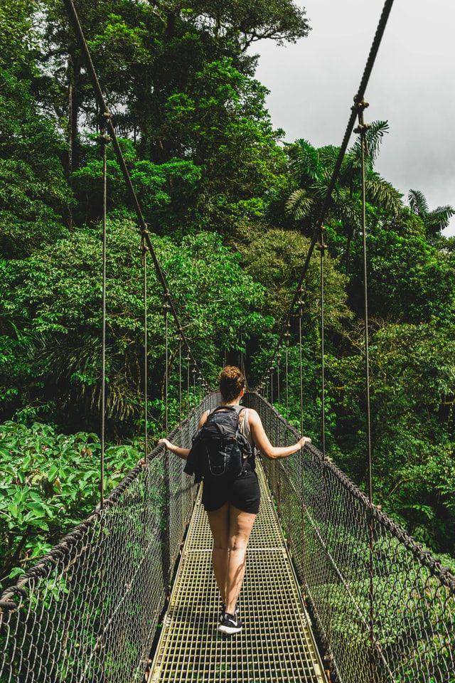 taman jembatan gantung Mistico Arenal (unsplash.com/etiennedelorieux)