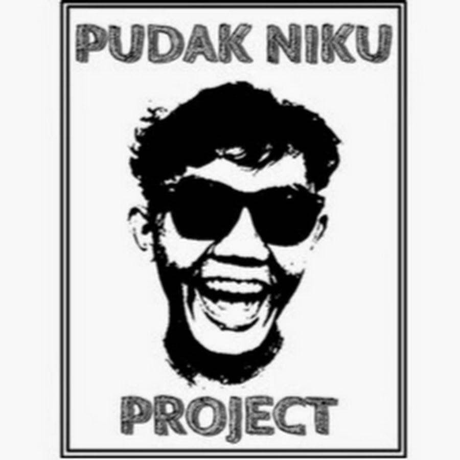 Pudak Niku Project