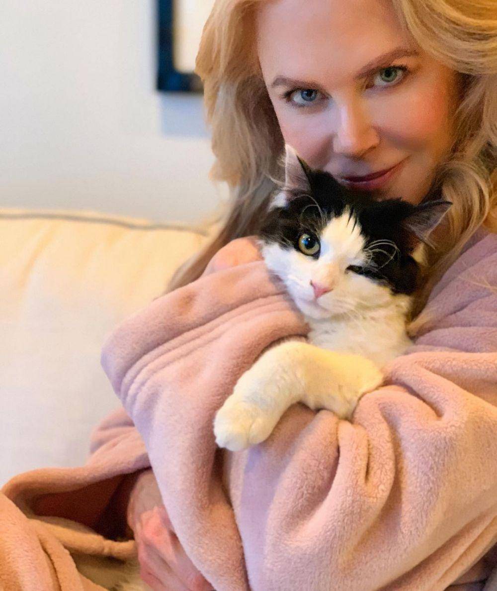 Nicole Kidman bersama kucing kesayangannya. (instagram.com/nicolekidman/)