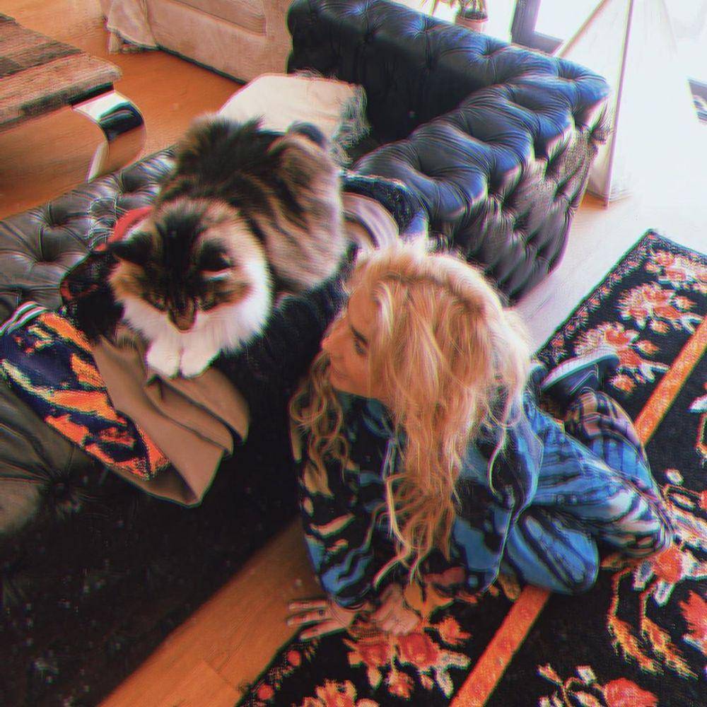 Kesha bersama kucing kesayangannya. (instagram.com/iiswhoiis/)
