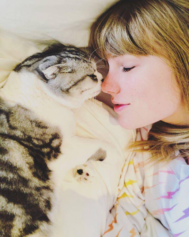 Taylor Swift bersama kucing kesayangannya. (instagram.com/taylorswift/)
