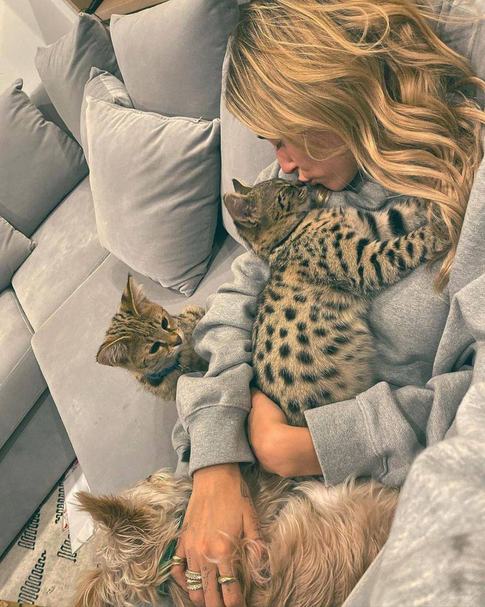 Hailey Bieber bersama kucing-kucing kesayangannya. (instagram.com/kittysushiandtuna/)