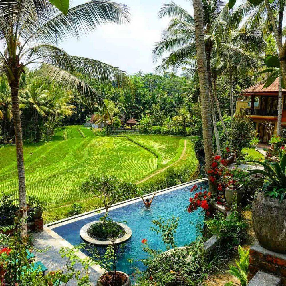 Umasari Rice Terrace (instagram.com/umasaririceterracevilla)