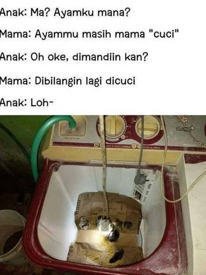 hewan salah kandang (1cak.com)
