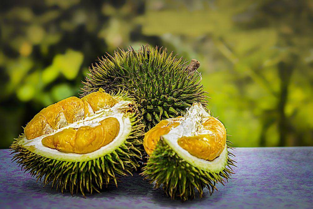 potret durian (pixabay.com/truthseeker08)