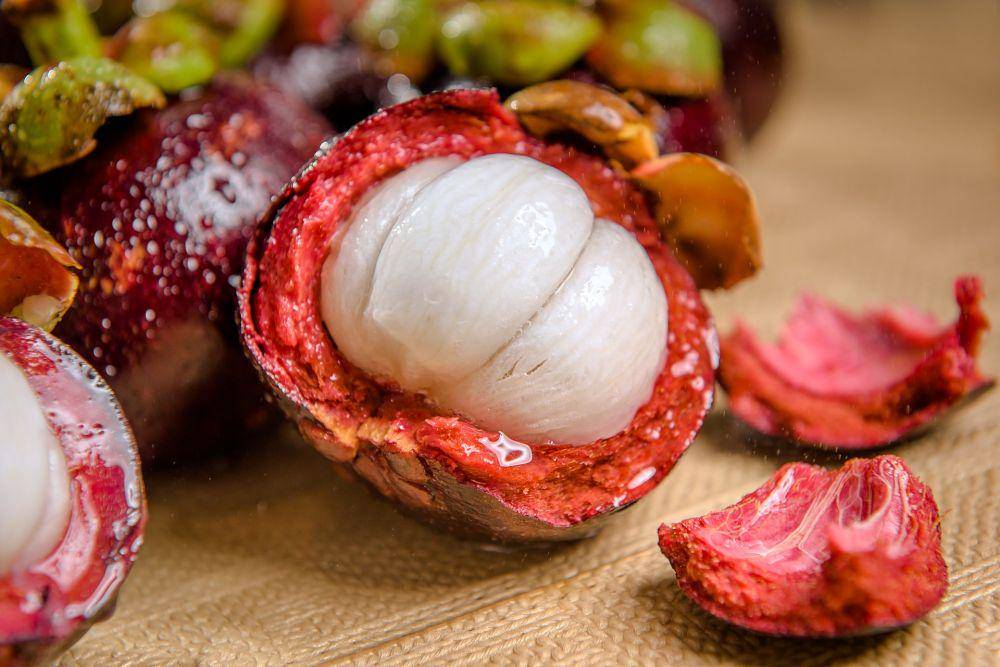 potret buah manggis (pixabay.com/4537668)