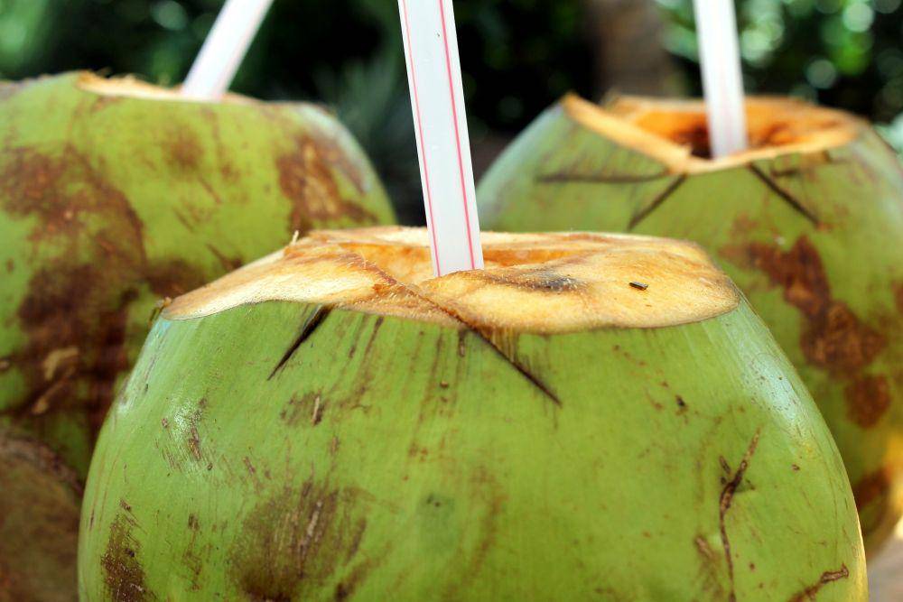 potret kelapa (pixabay.com/gadini)