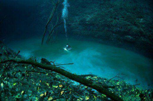 potret sungai di bawah laut (marineinsight.com)