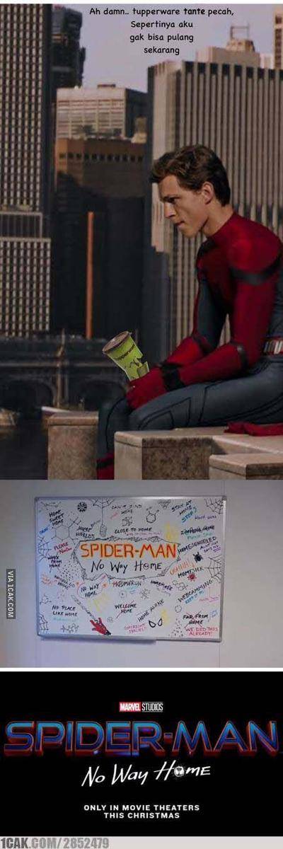 meme spoiler Spider-Man: No Way Home (1cak.com/2852479)