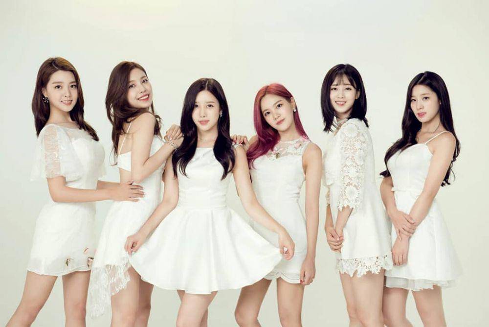 Berry Good (instagram.com/berrygood_official)