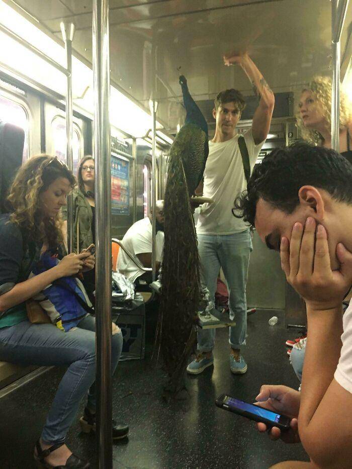 hasil jepretan hal gak biasa di kereta (reddit.com/BookerDeWittsCarbine)
