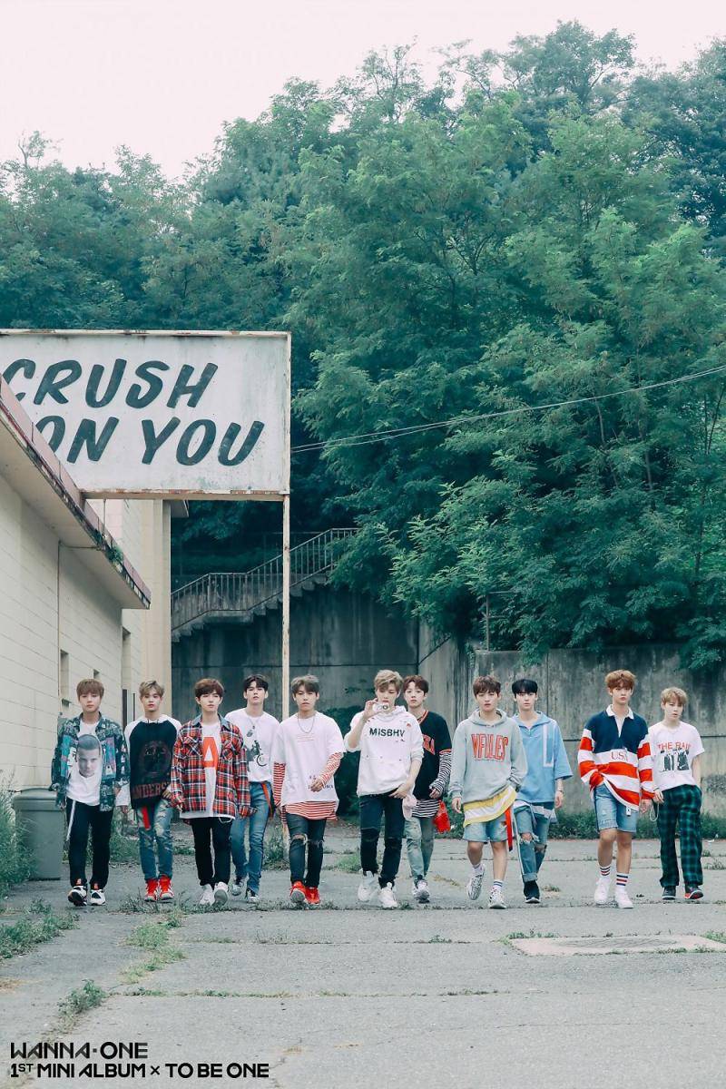 Wanna One (post.naver.com/강애시)