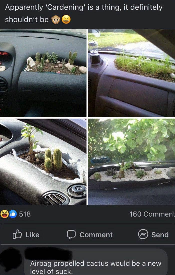 kreasi buatan tangan paling aneh (reddit.com/Sitethief)