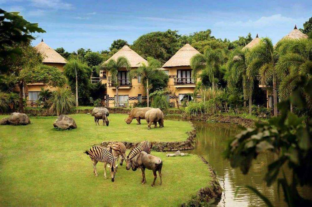 Mara River Safari Lodge (instagram.com/ehabali_tour)