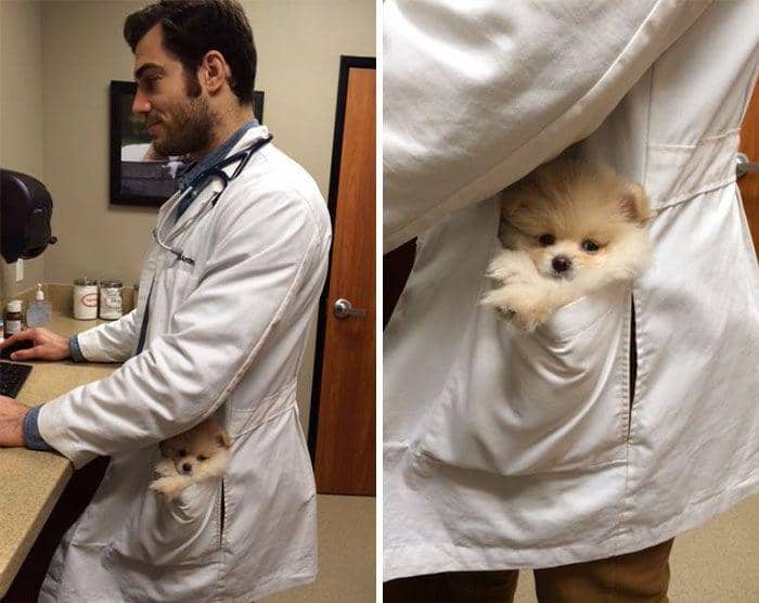 ide lucu dan unik tim medis (boredpanda.com/Dr. Evan Antin)