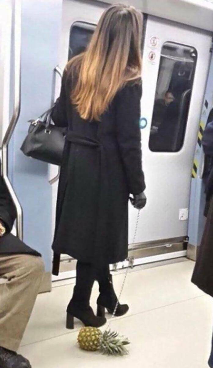 hasil jepretan hal gak biasa di kereta (reddit.com/Jazzdaddy66)