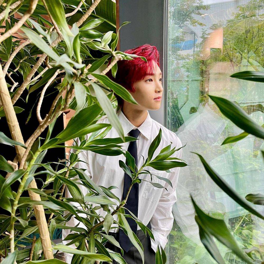 Baek Seo Hoo (instagram.com/seohoo._.b)