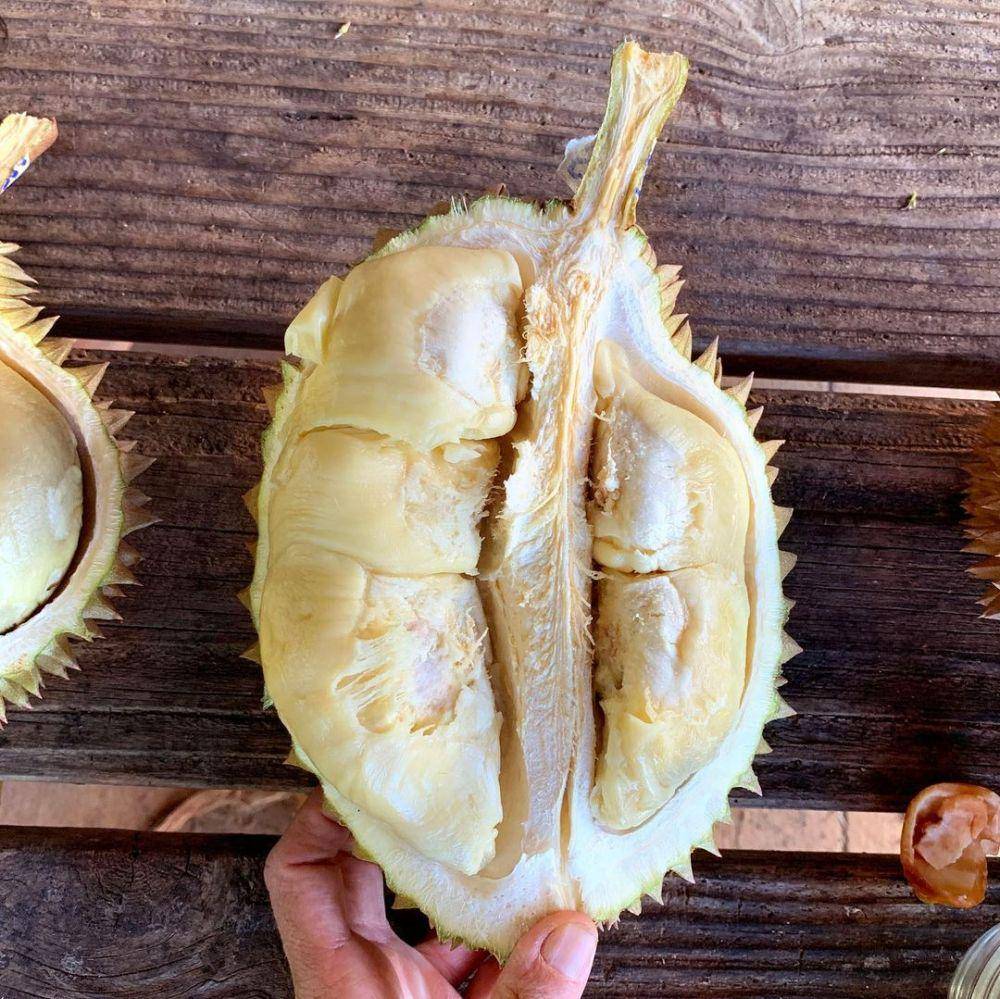 Durian. (instagram.com/durianwrite)