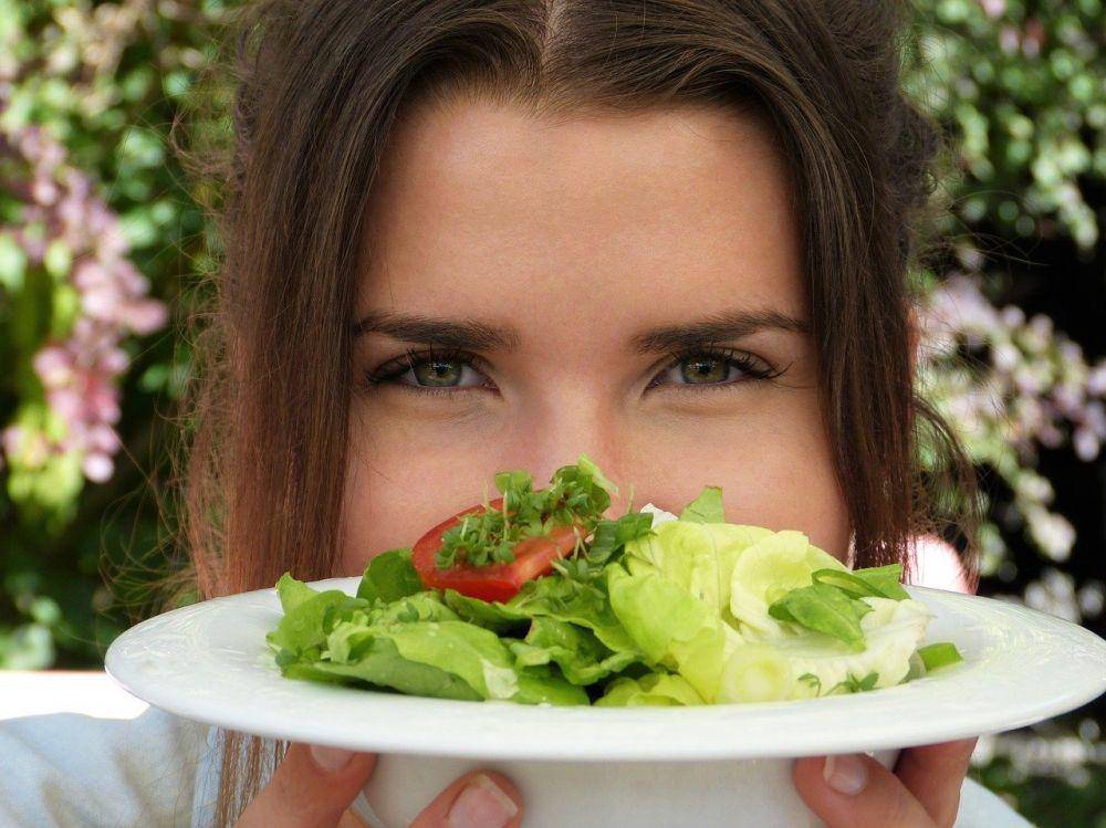 ilustrasi pola makan vegan (pixabay.com/silviarita)