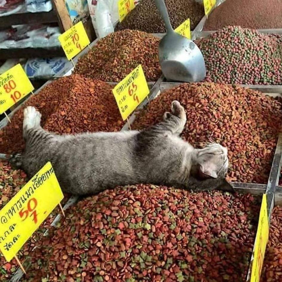 potret mau marah tapi gak sanggup (instagram.com/humorserius)