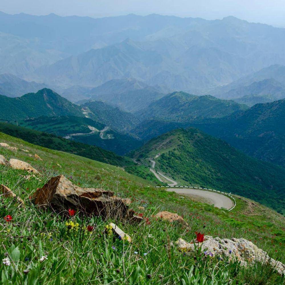 Shikahogh State Reserve (instagram.com/zeitreisen.home)