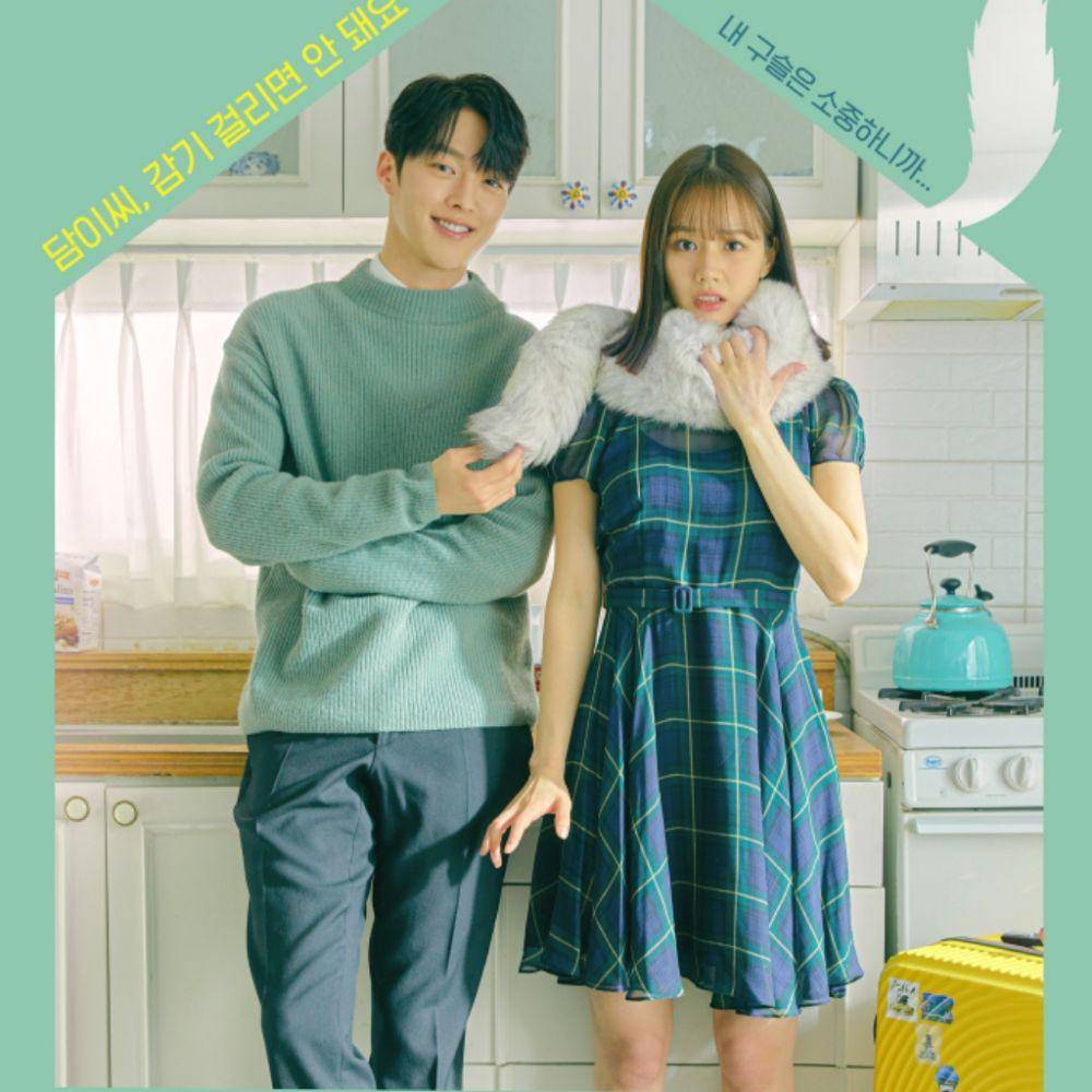 poster drama My Roommate Is a Gumiho (dok. tvN/My Roommate Is a Gumiho)