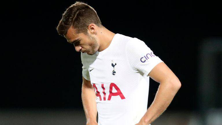 Harry Winks bersama Tottenham Hotspur (skysports.com)