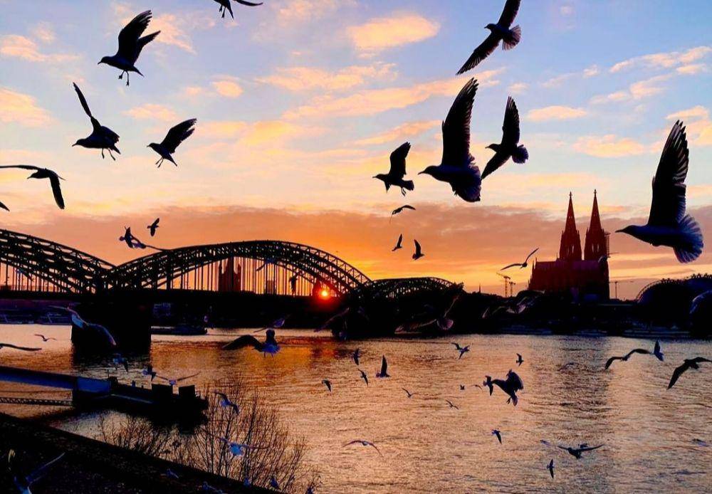 Hohenzollern Bridge (instagram.com/jansichtssachen)
