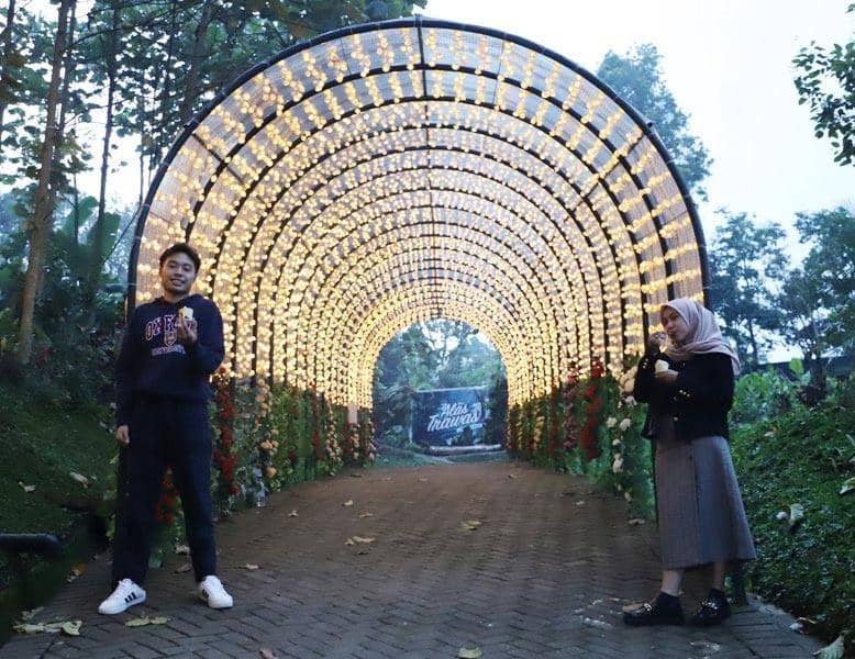 Salah satu spot favorit yakni Terowongan Alas, sebuah terowongan bercahaya sepanjang 200 meter yang diadopsi dari Nabana No Sato Illumination di Jepang. Dok. Istimewa.