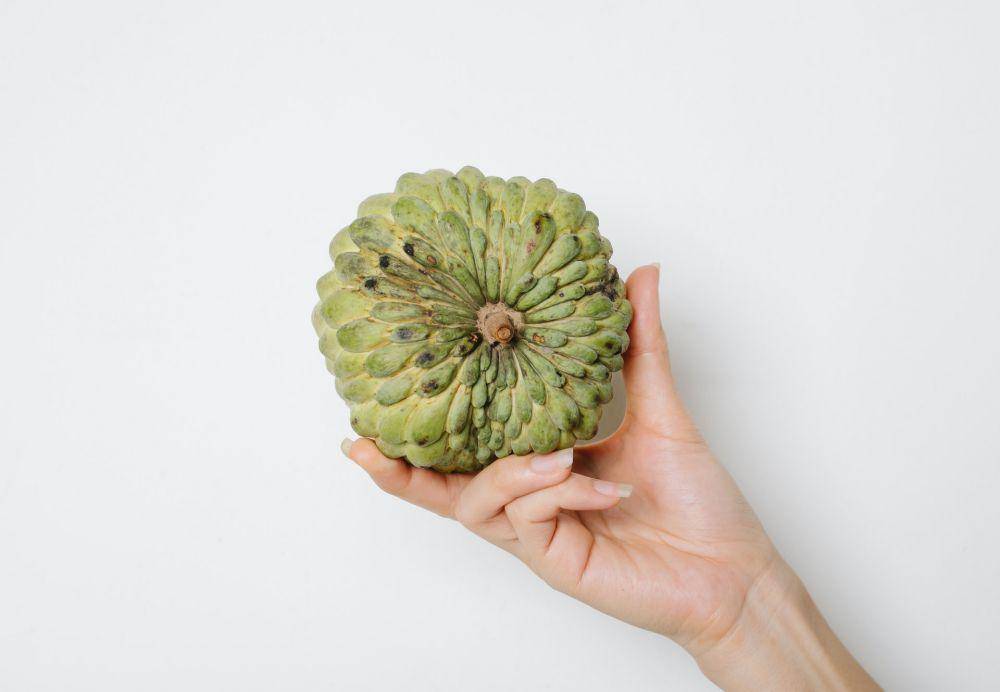 ilustrasi buah srikaya (pexels.com/Any Lane)