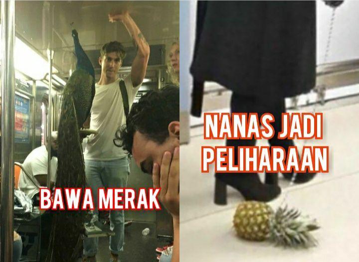 10 Momen Aneh di Kereta Api yang Berhasil Dijepret, Bikin Mikir!