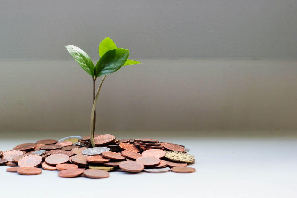 Kenali 6 Produk Investasi untuk Wujudkan Kebebasan Finansial