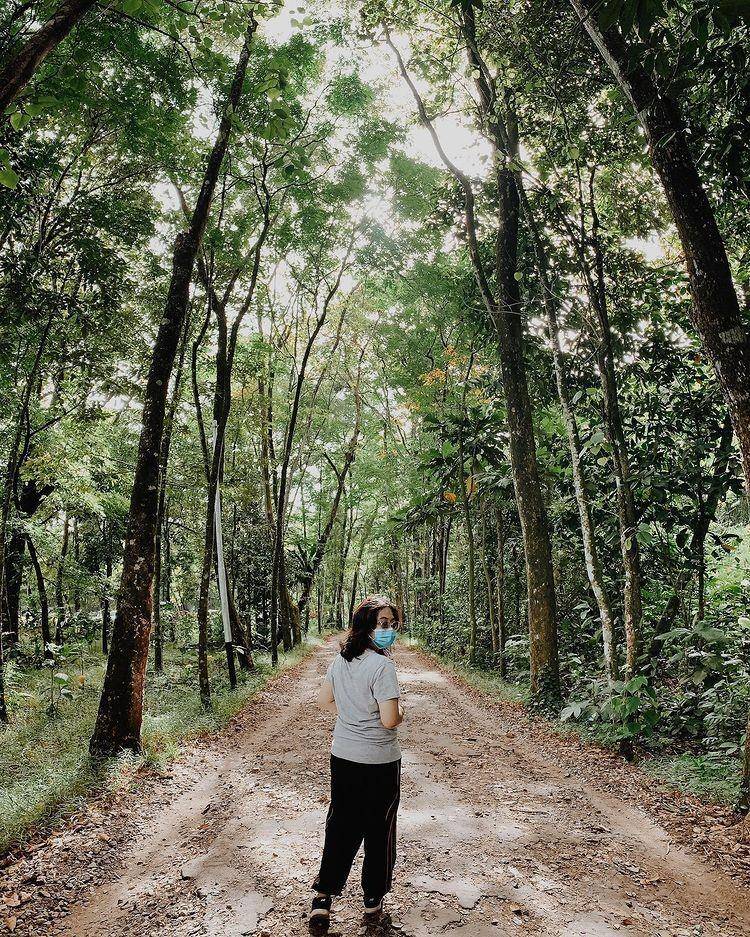 Taman Arboretum Sylva Untan (Instagram.com/andhi_ptm)