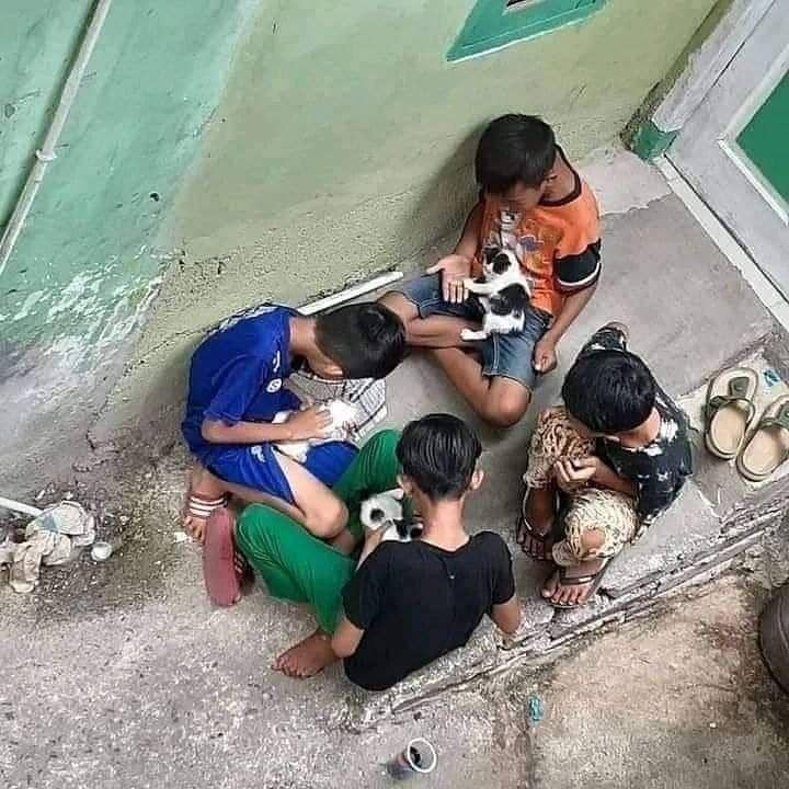 potret kucing saat bermain bareng anak kecil (instagram.com/kucingseru)