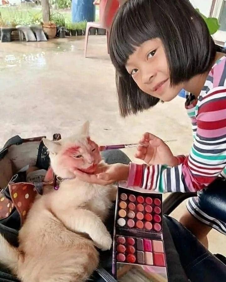 potret kucing saat bermain bareng anak kecil (instagram.com/kucinglucucomel)