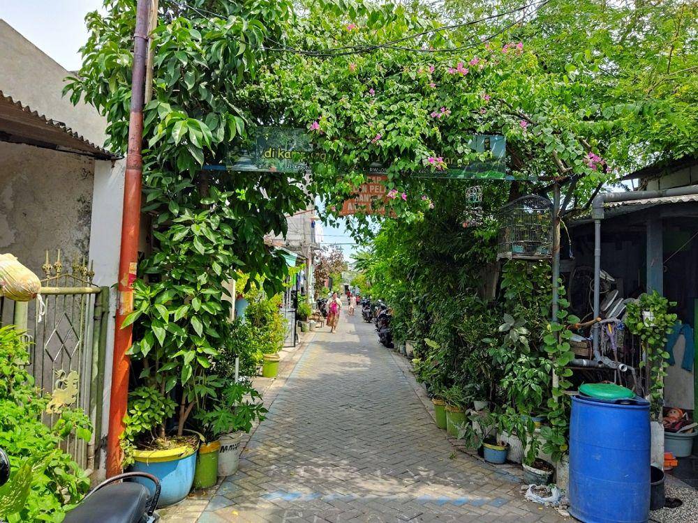 Wilayah Keputih Tegal Timur Baru yang sudah menjadi hijau dan layak untuk ditinggali. (dok. Pribadi/Dahli Anggara)