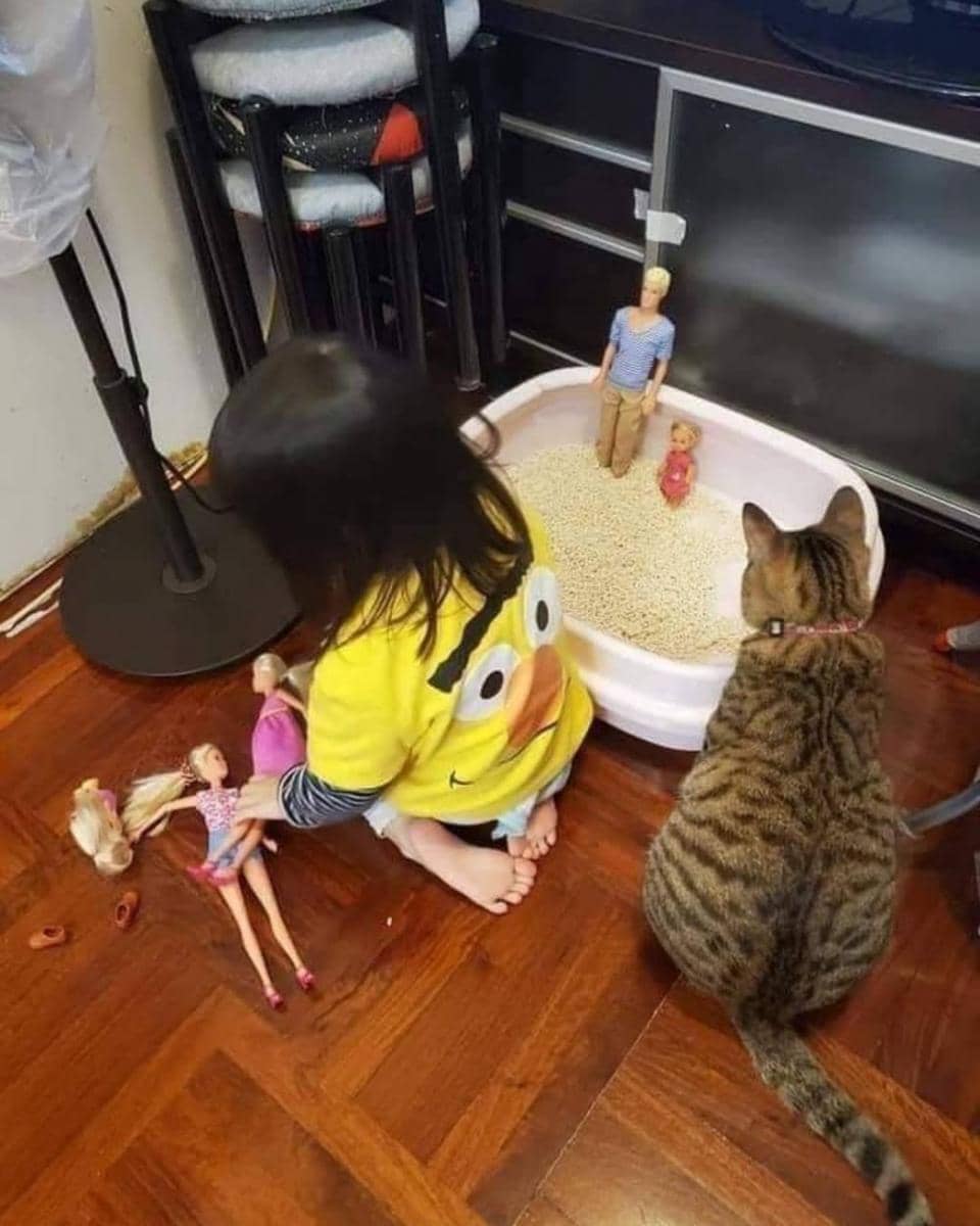 potret kucing saat bermain bareng anak kecil (instagram.com/instakocheng)