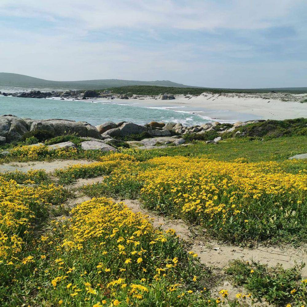 West Coast National Park (instagram.com/bianca_v_z)