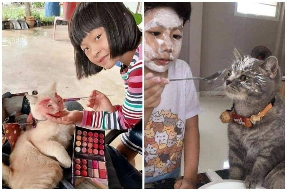 10 Potret Kucing saat Diajak Main, Ada yang Pasrah Abis, ih!