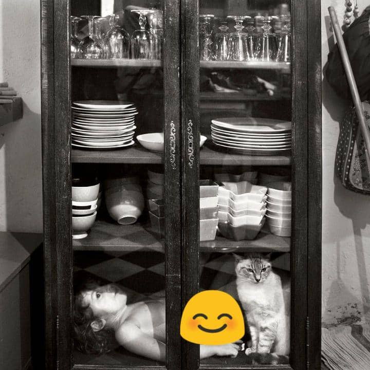 potret kucing saat bermain bareng anak kecil (boredpanda.com/Alain Laboile)