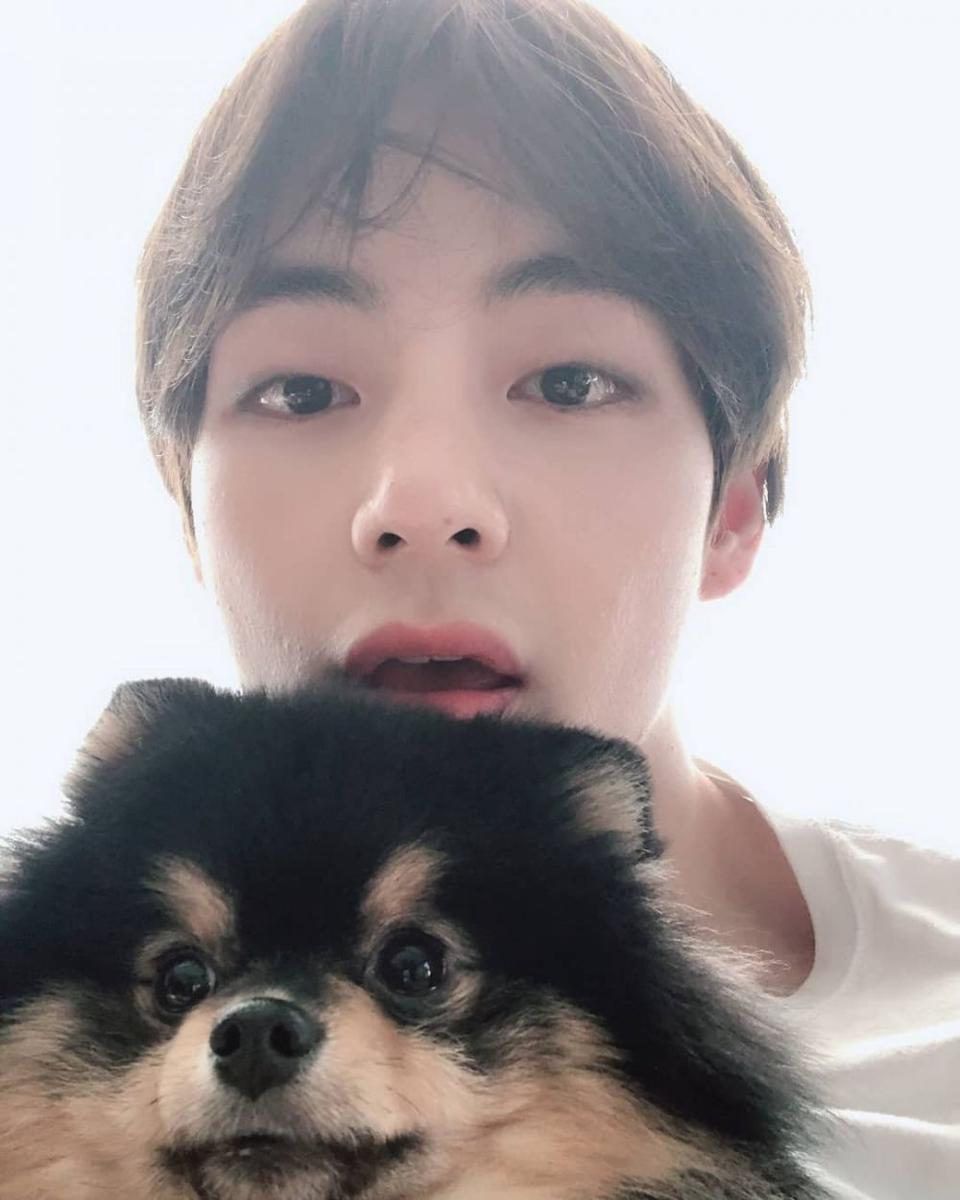 V BTS dan Yeontan (instagram.com/yeontanie.ig)