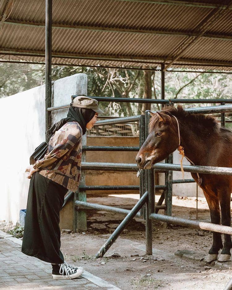 Kebun Binatang Taru Jurug (Instagram.com/awrlind)