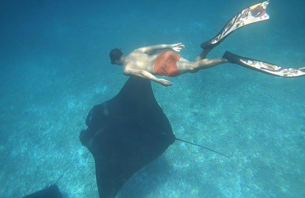 Wisata Manta Point Labuan Bajo: Informasi Rute, Lokasi, dan Harga