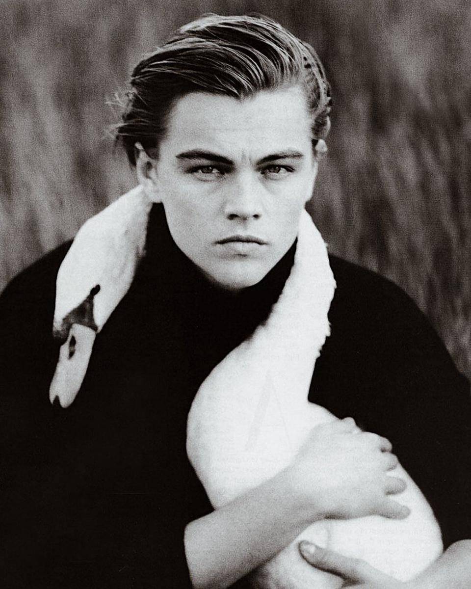 Leonardo DiCaprio (twitter.com/badpostleonardo)