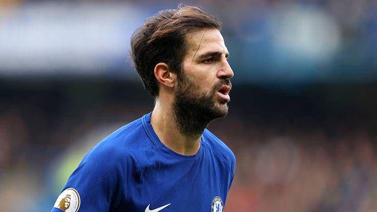 Cesc Fabregas (fcbarcelonanoticias.com)