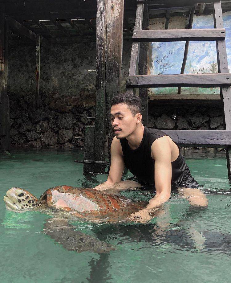 Penyu di Pulau Penyu (Instagram.com/fatan_27)