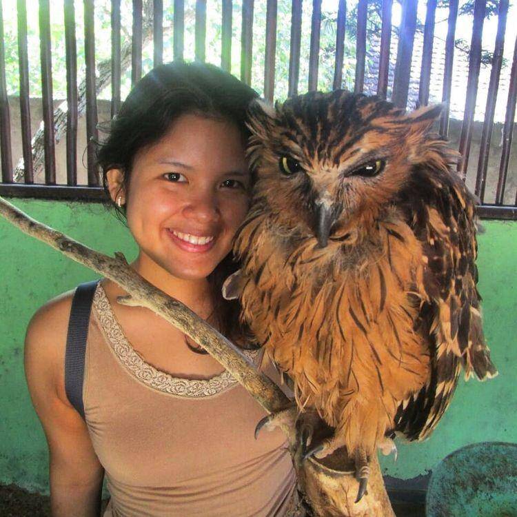 Burung elang di Pulau Penyu (Instagram.com/adlen_jengok)
